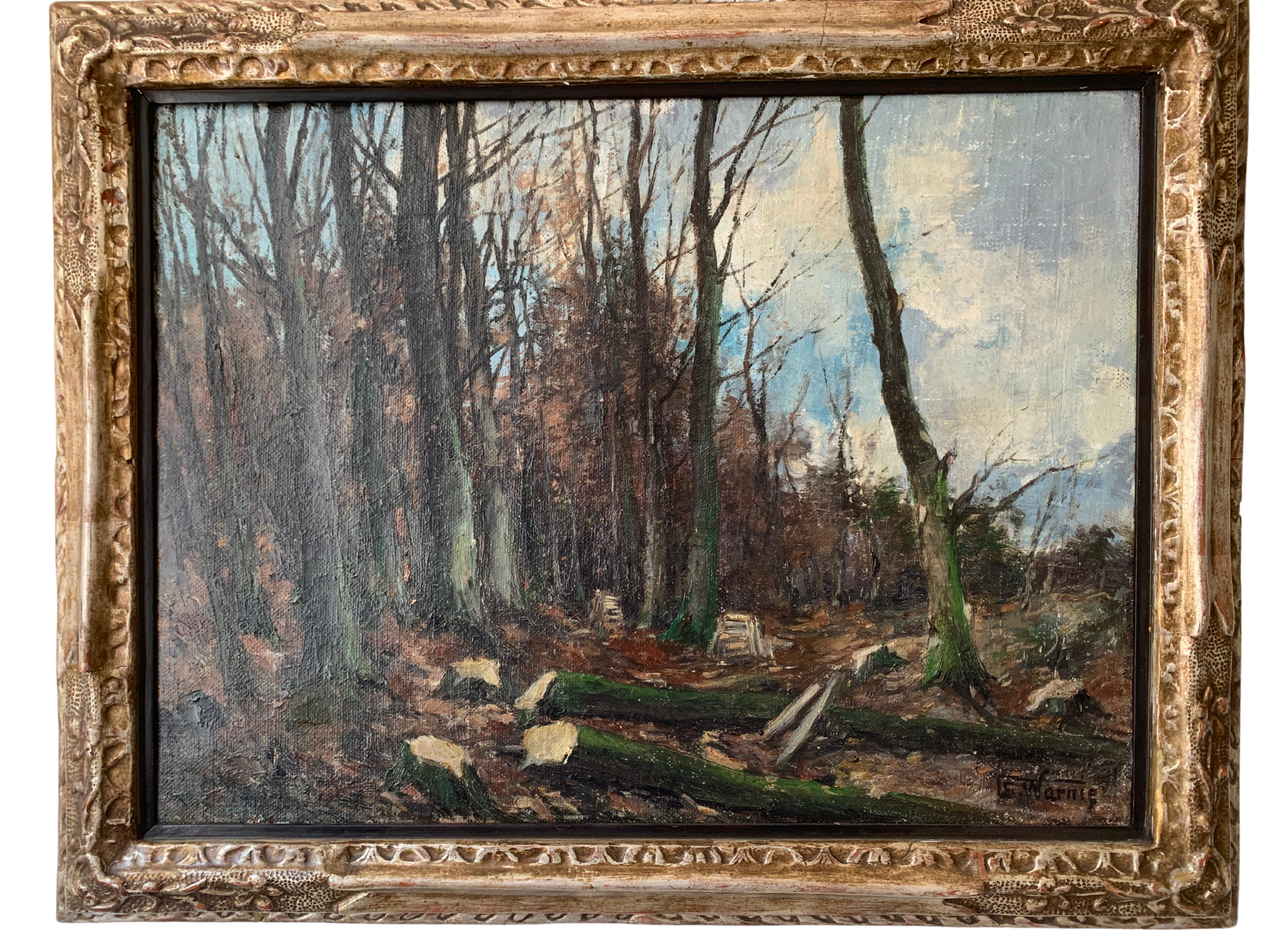 Vellen van de bomen (L.S. Warnie 1879-1958)