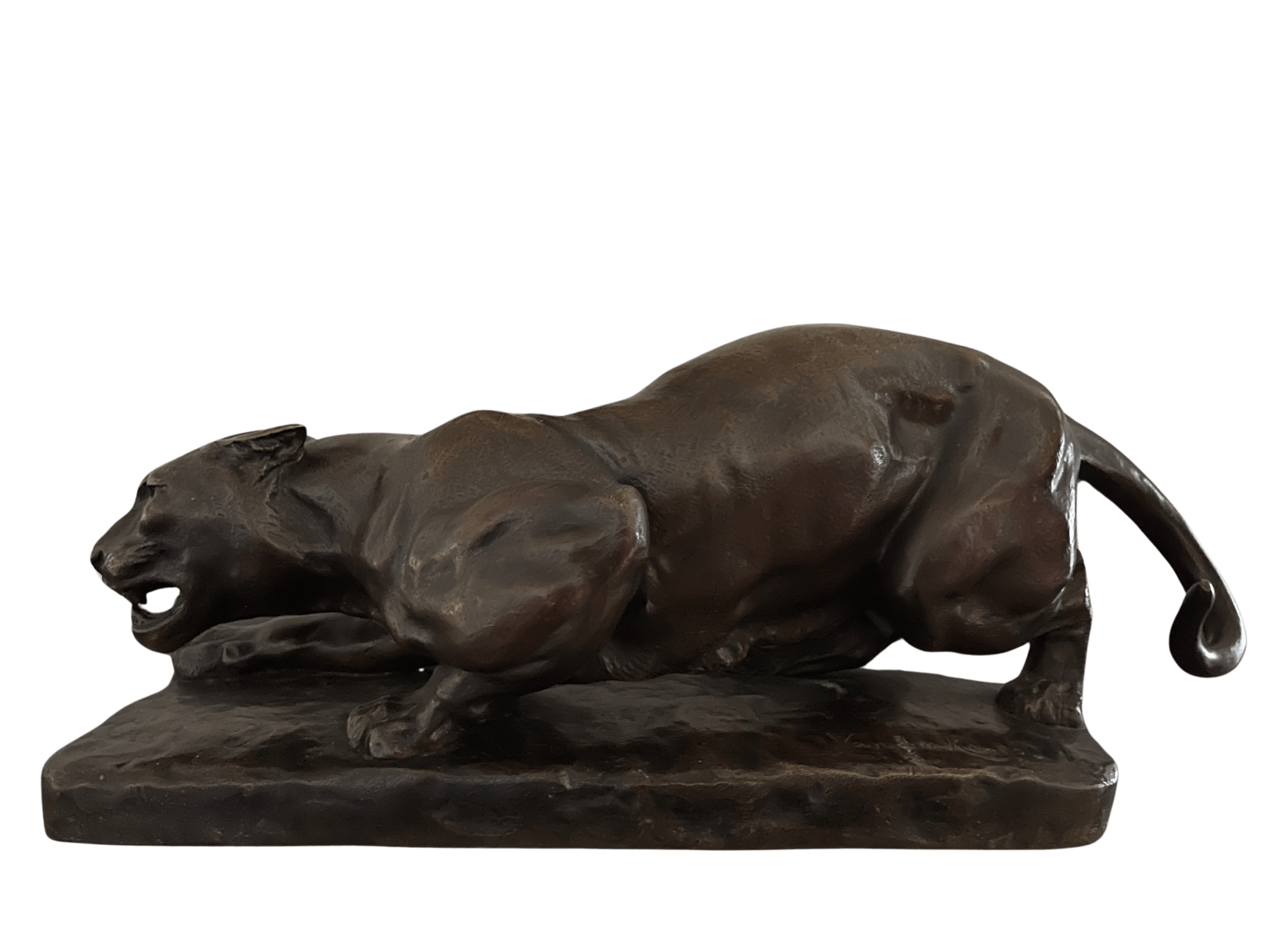 panter_bronze_vanderkemp