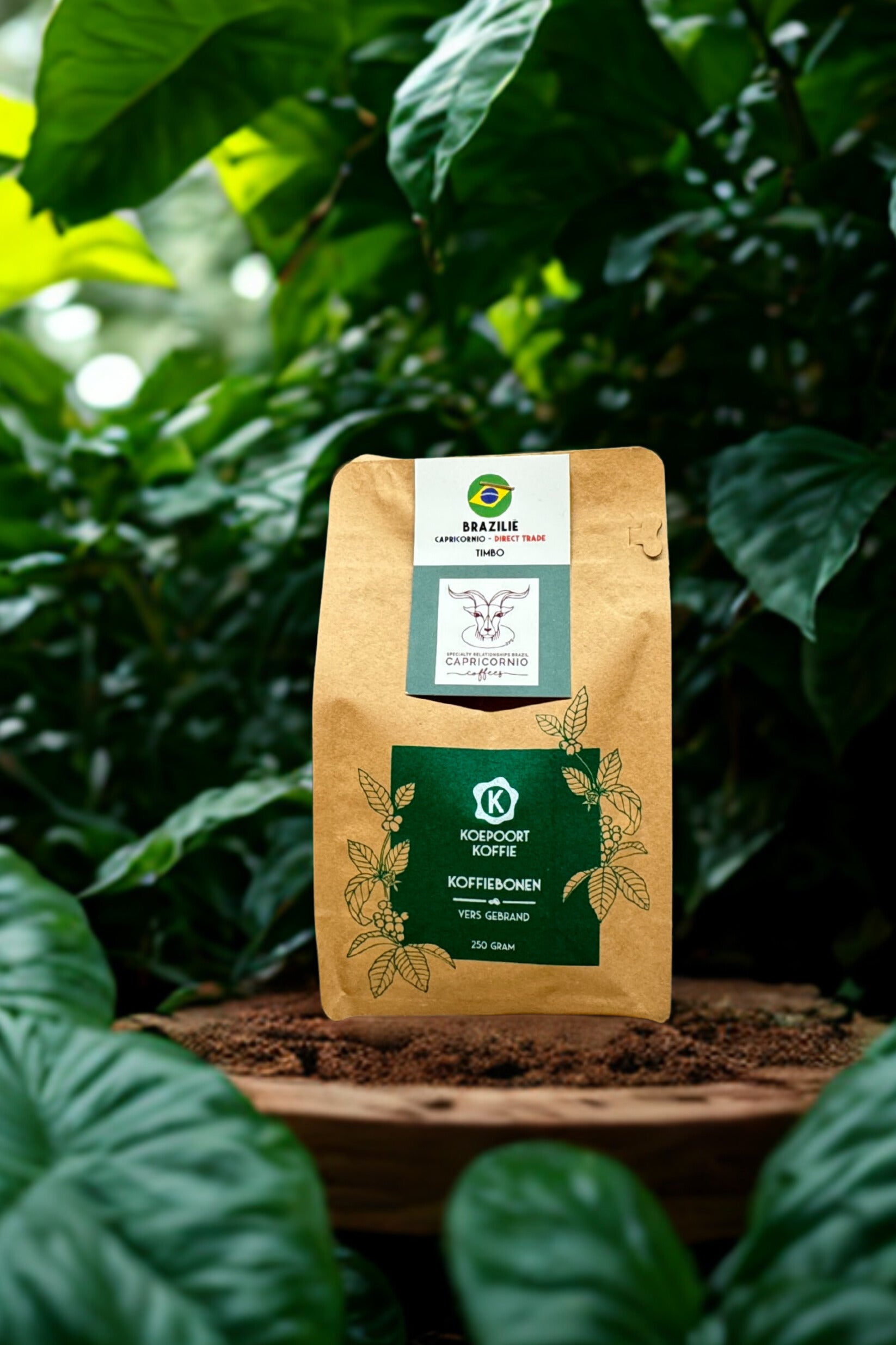 Brazilië Capricornio Timbo